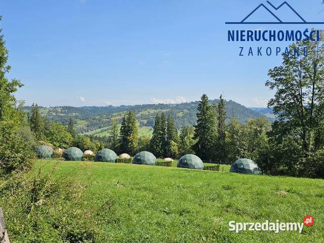 sprzedaży działki 5460m2 Suche sprzedam