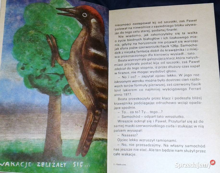 Każdy pies ma dwa końce Krystyna Boglar Chełm