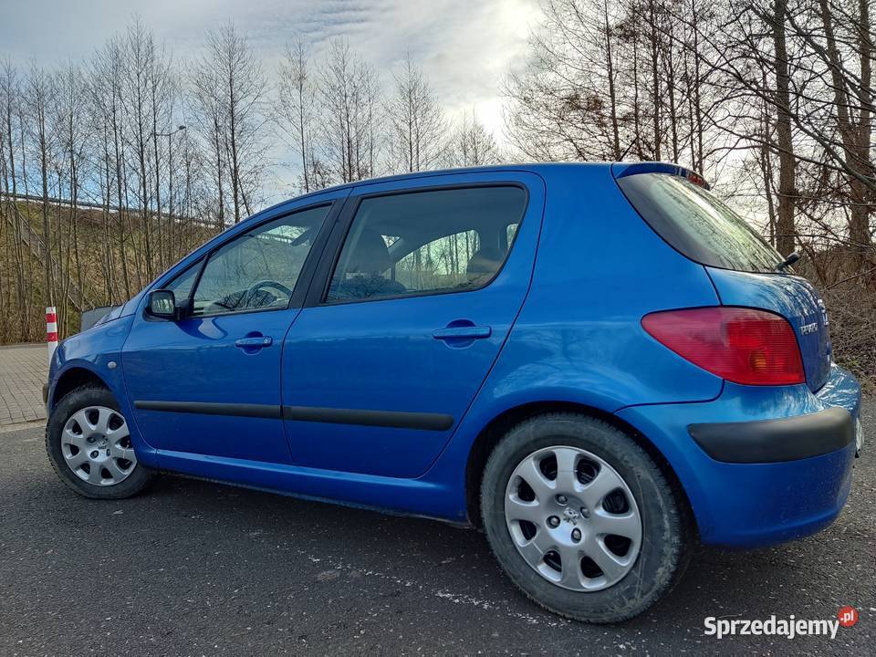 Peugeot 307 16 Lpg Peugeot Konin