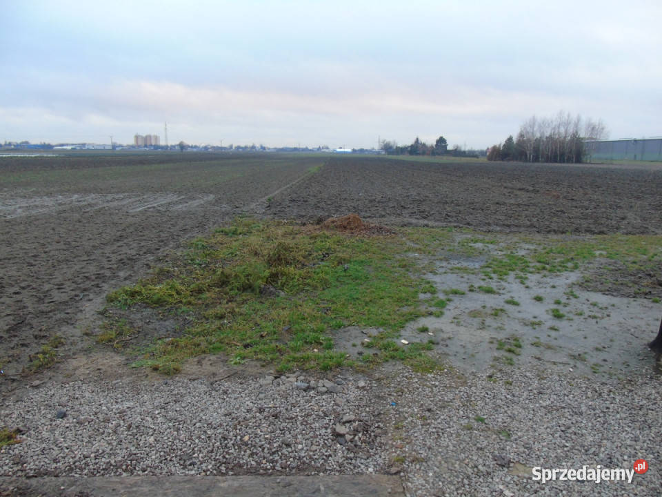 Dom Jednrodzinny zaplecze ogrodnicze pow 4980m2 Sprzedaż Ożarów Mazowiecki