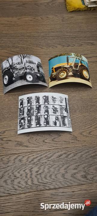 URSUS URSUS URSUS zdęcie w ramce