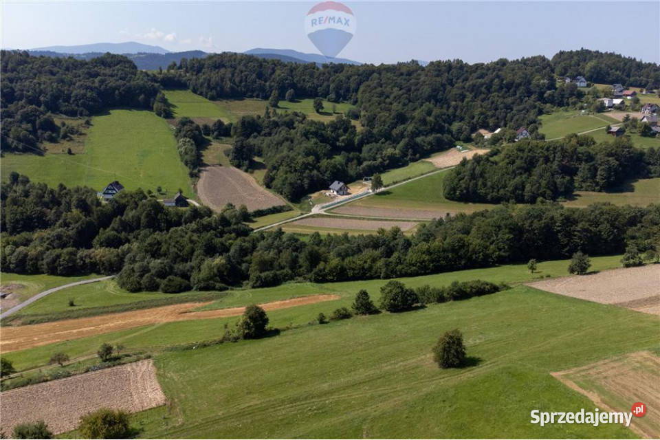 Prywatny las 3331 m2 Twoja przestrzeń w naturze małopolskie Młynne sprzedam
