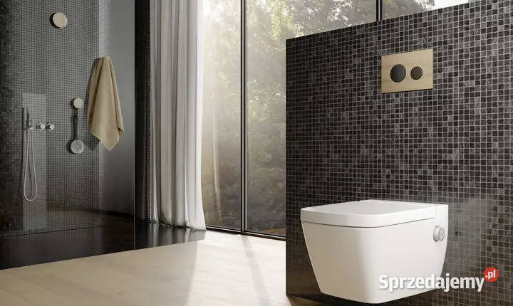 Serwis Geberit Koło Tece Pozostałe Lublin