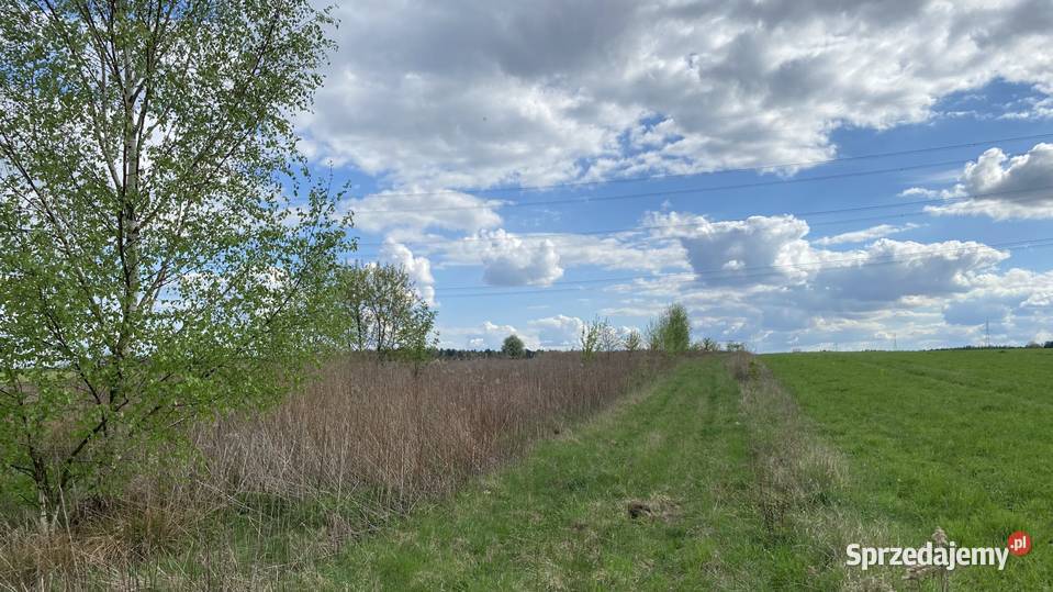 Syndyk sprzeda nieruchomość gruntową w Przyłęku