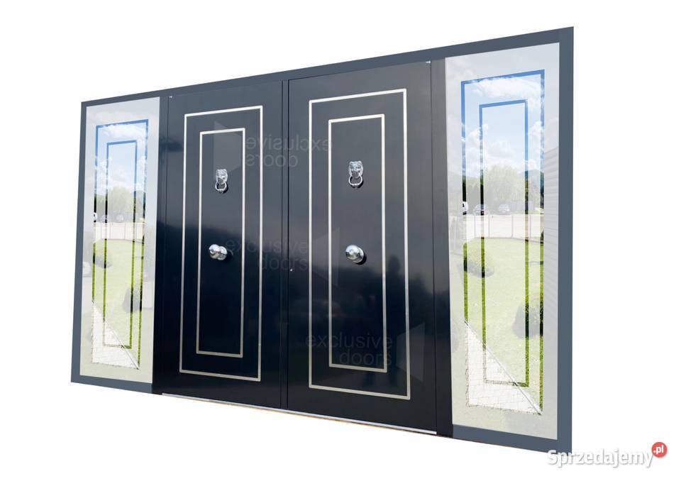 Aluminiowe drzwi wejściowe Schco Design Edition Nowy Sącz sprzedam