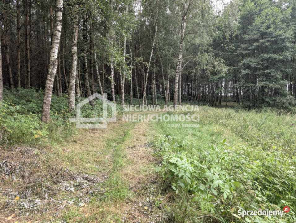 Działka 103582m2 Jaroszewy pomorskie
