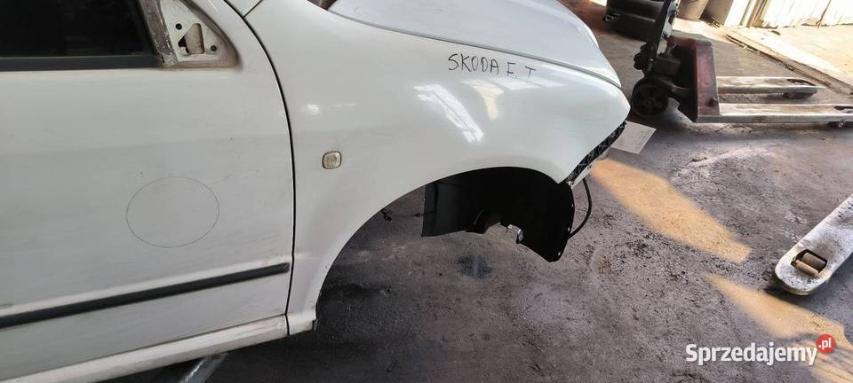 BŁOTNIK PRAWY PRZÓD SKODA FABIA I kujawsko-pomorskie