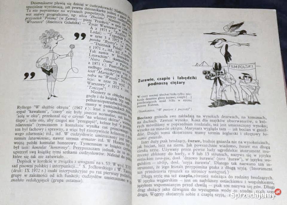 Pontoniakiem morze Zygmunt Brocki Chełm