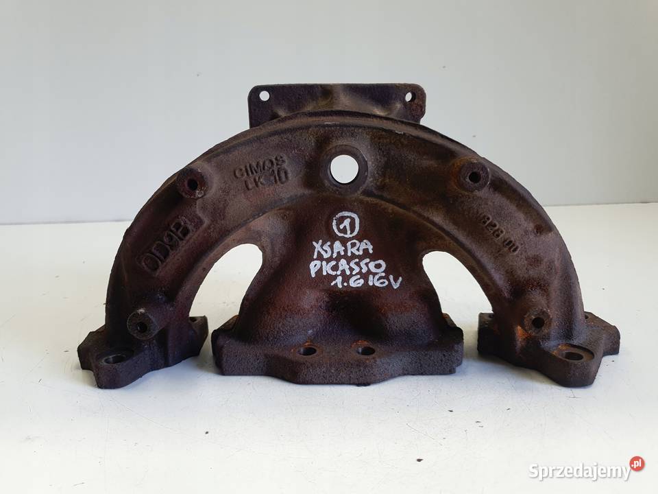 Citroen Xsara Picasso 16 16V KOLEKTOR WYDECHOWY Rudka