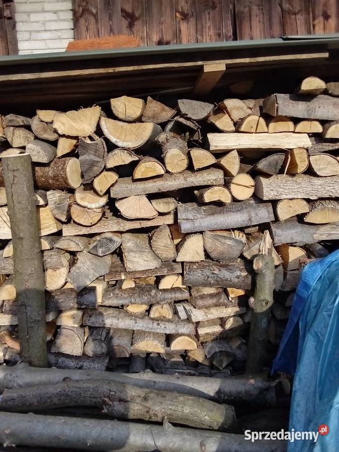 Drewno na opał Bieliny