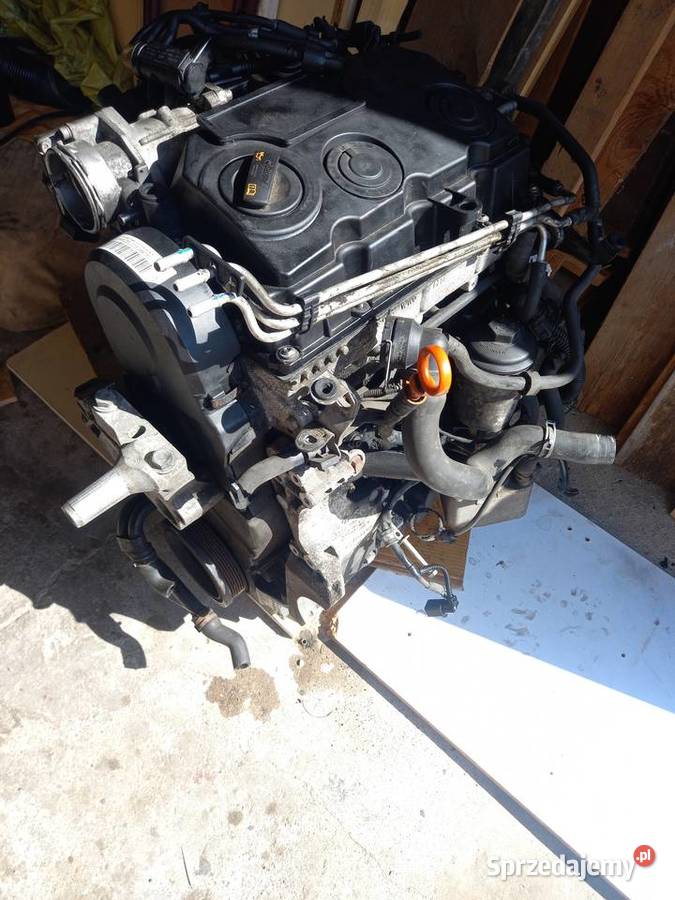 Silnik 20 TDi 140 BMM 2008 r osobowe Andrespol