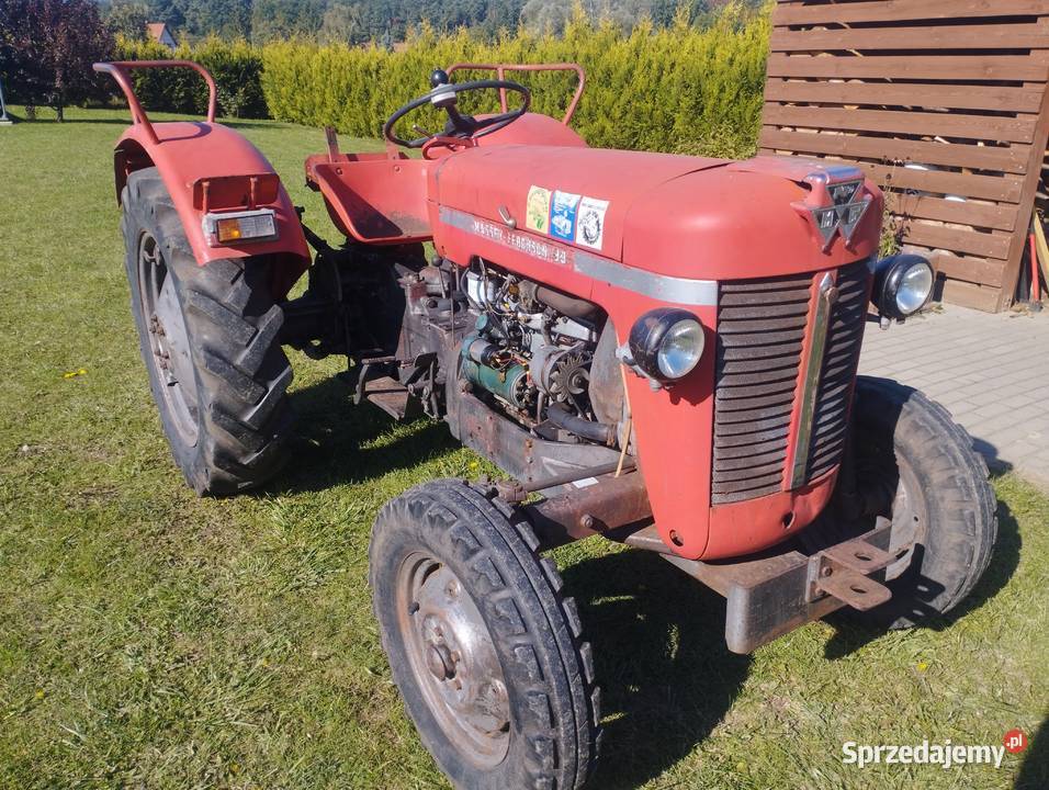 Ciągnik Massey Ferguson MF30 zachodniopomorskie Myślibórz sprzedam