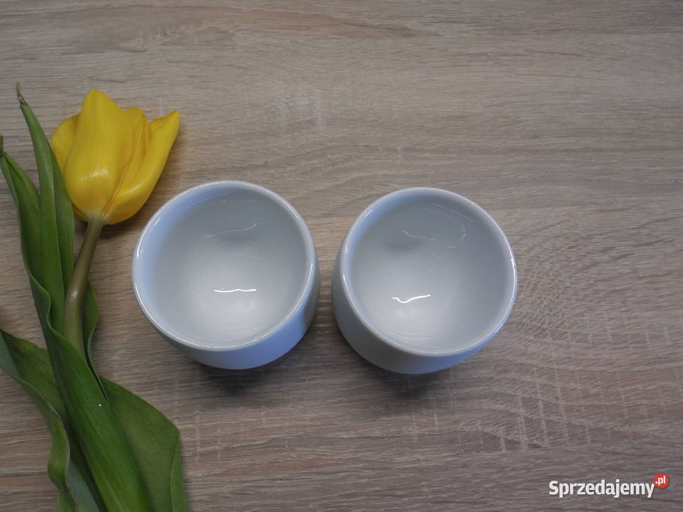 Pojemniki białe nieszkliwione