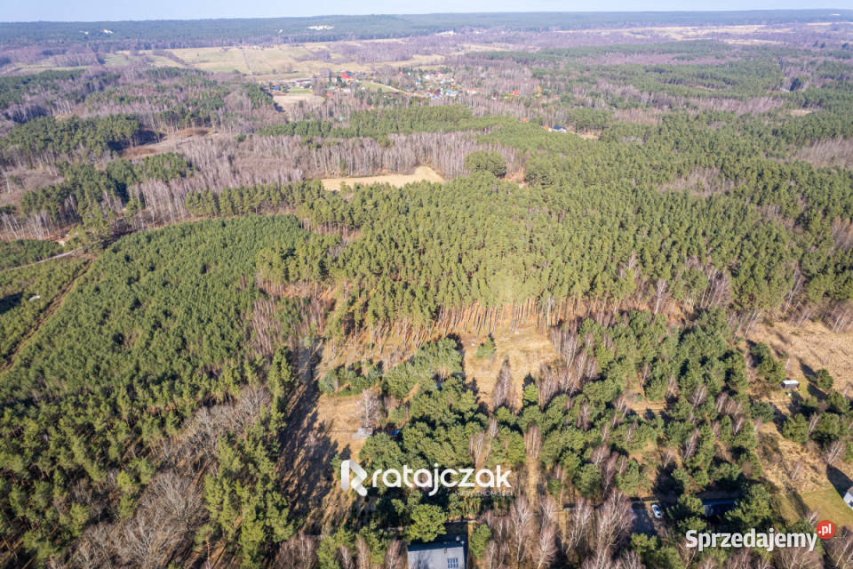 Grunt na sprzedaż 9751m2 Sasino Stara Cegielnia prąd