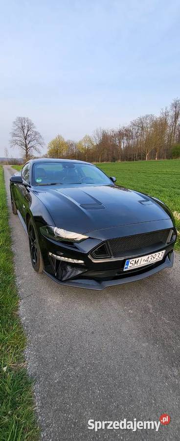 Ford Mustang 50 GT 450 koni Automat Mustang Mikołów