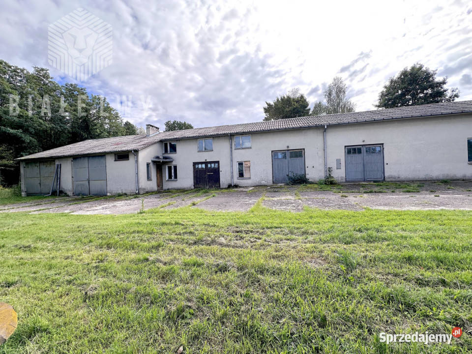 Lokal 800m2 Mrozy Sprzedaż