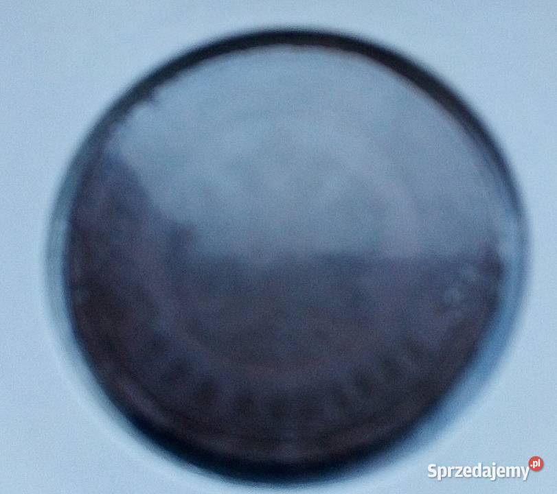 ROSJA3 KOPIEJKI1899 r W HOLDERZE sprzedam