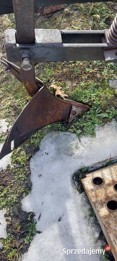 Sadzarka do ziemniaków Kock