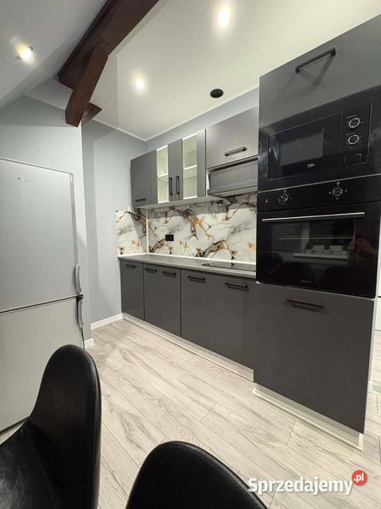 Mieszkanie Pleszew 585m2