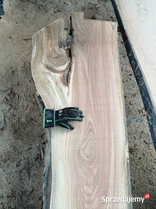 Monolit 65x65 x5 dąb stolik kawowy live edge Przysucha