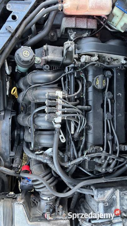 Ford Focus MK2 Turnier 16 TiVCT LPG 2009 Paniówki