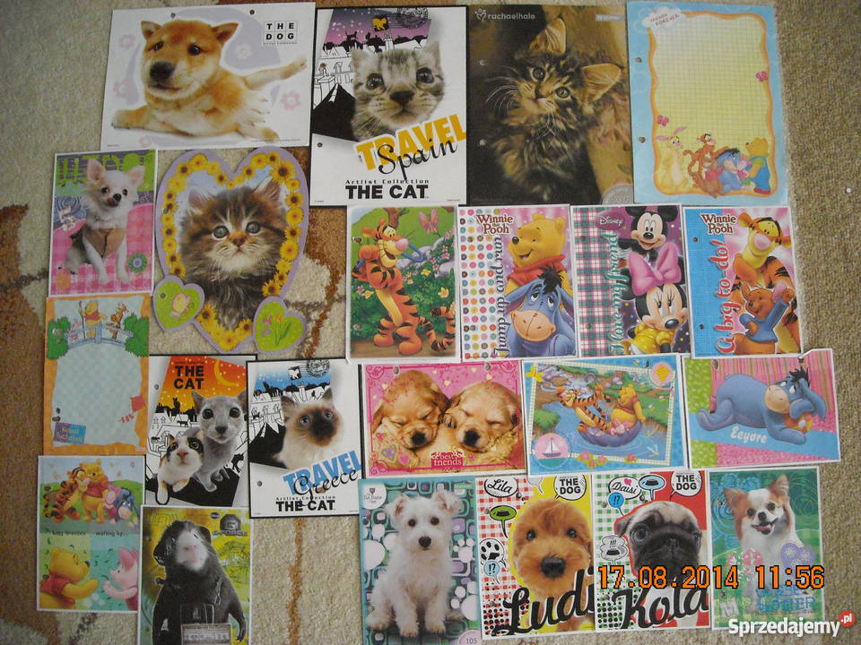 Karteczki 231 3segregatory Jasło sprzedam