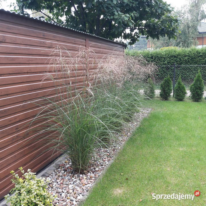 Prace remontowemalowanie Ogrod Pozostałe Komornica sprzedam