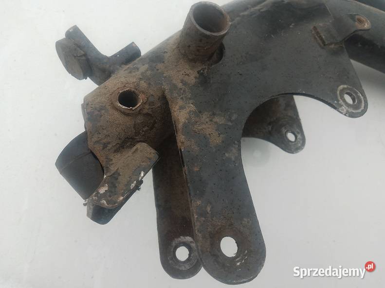 Rama komar sztywniak Ramy Milejewo