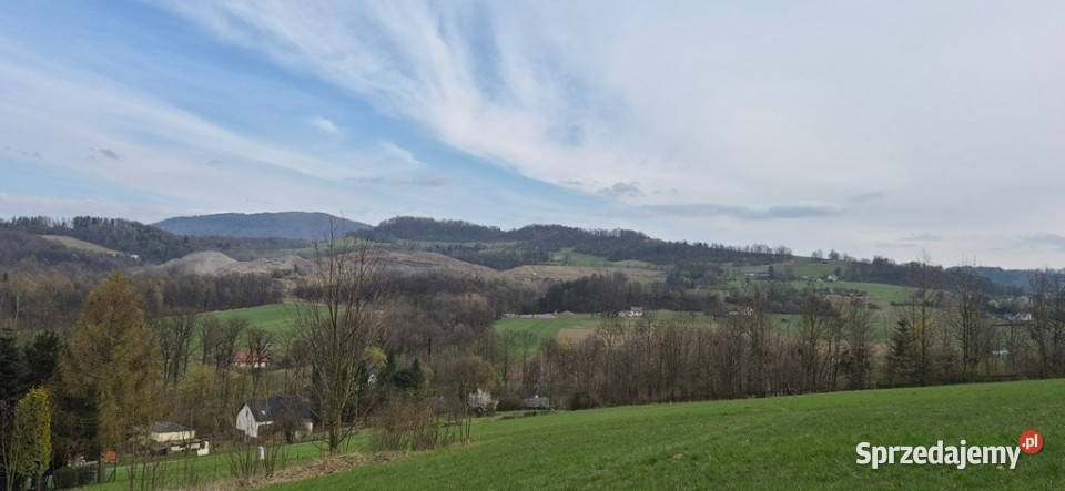 Działka budowlana pod lasem 2873m2 Dzięgielów