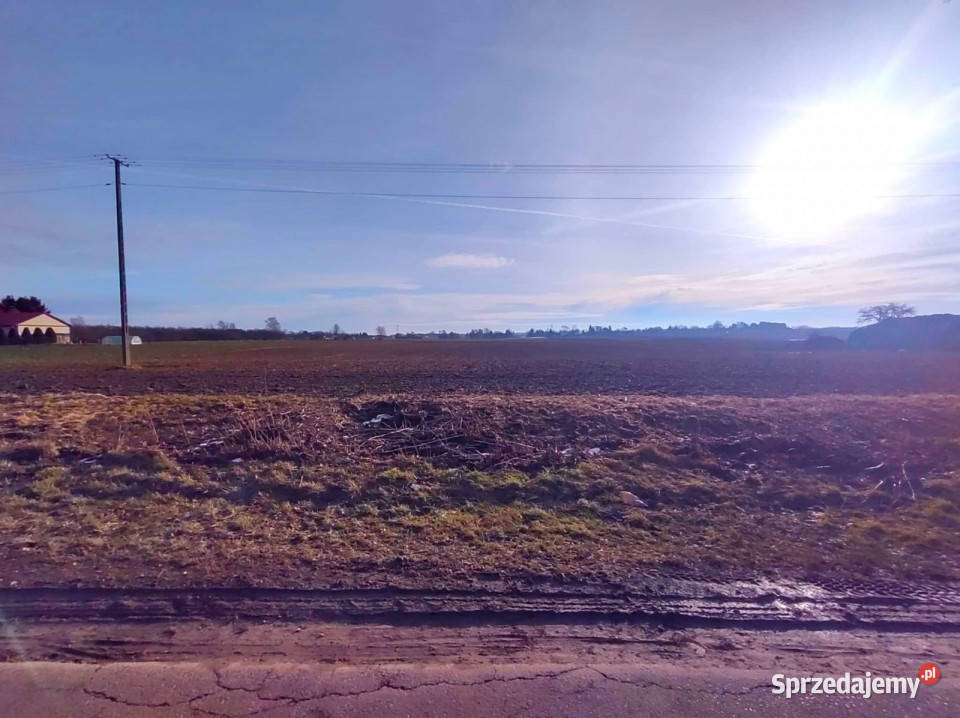 sprzedaży działki Palikije Drugie 4500m2 4500m2