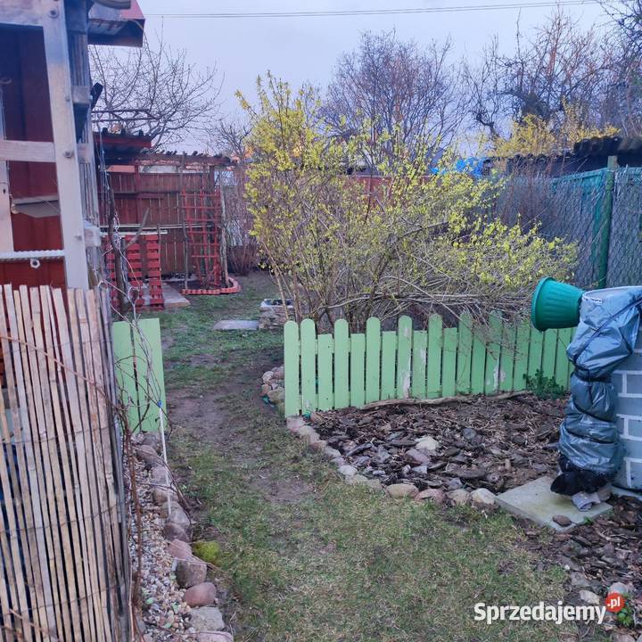 Działka ROD Bełchatów