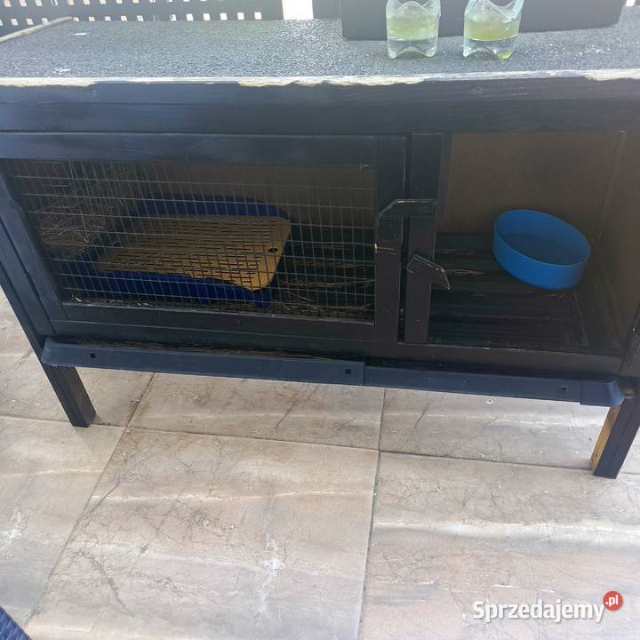 Klatka krolika Bolesławiec
