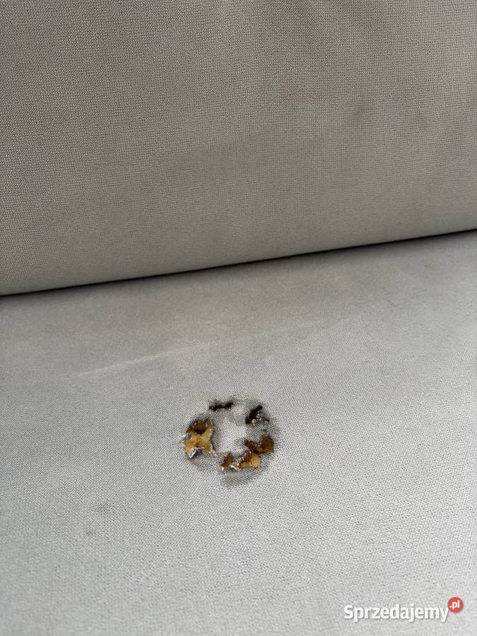 Sofa dwuosobowa Sofy i kanapy Wola Krzysztoporska sprzedam