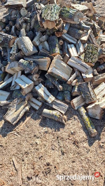 Twarde drewno kominkowe Dom i Ogród wielkopolskie Poznań