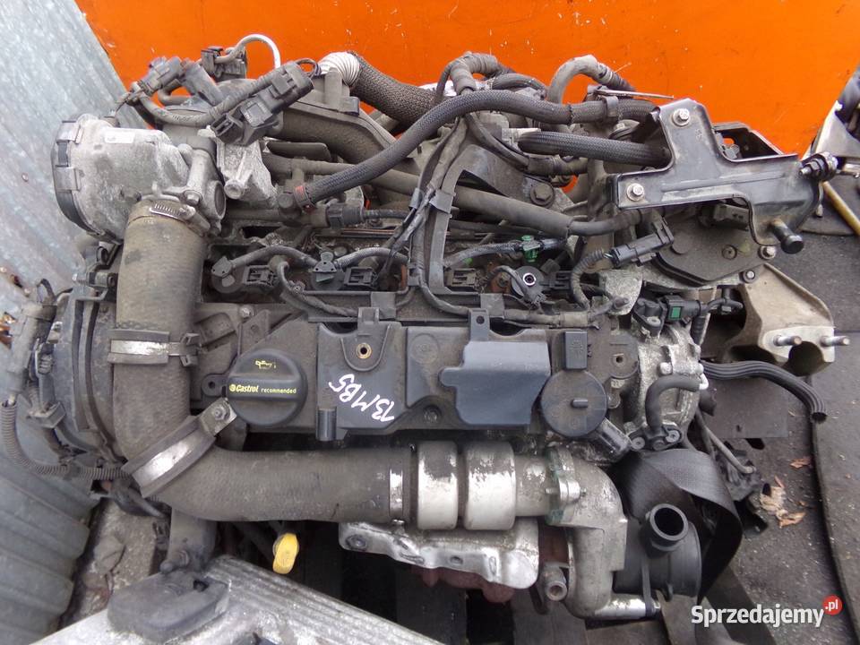 TRANSIT COURIER 15 TDCI 15r 75 silnik UGCB UGCA Suków