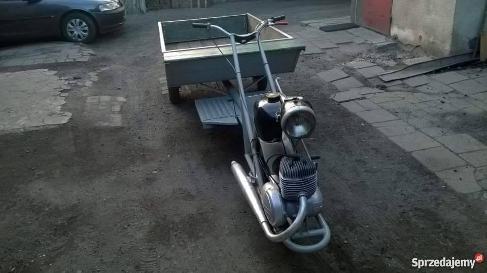 Orginalny Dzik Jarocin