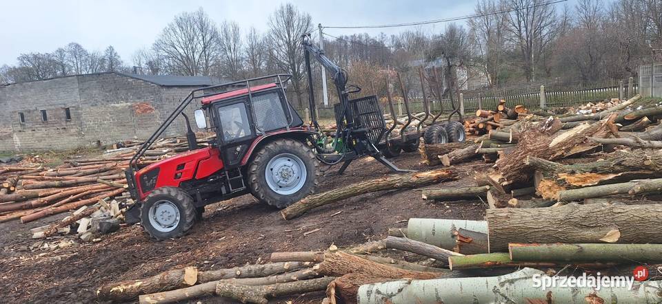 Mulczowanie Wycinka drzew Czyszczenie działek Gorzów Wielkopolski
