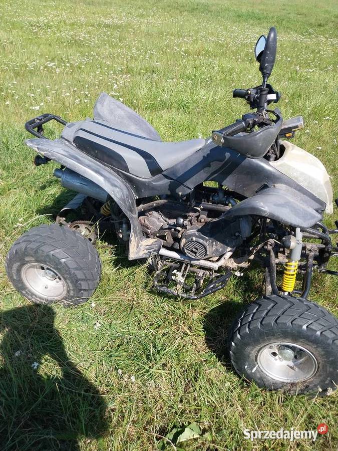 Quad kingway Dolice