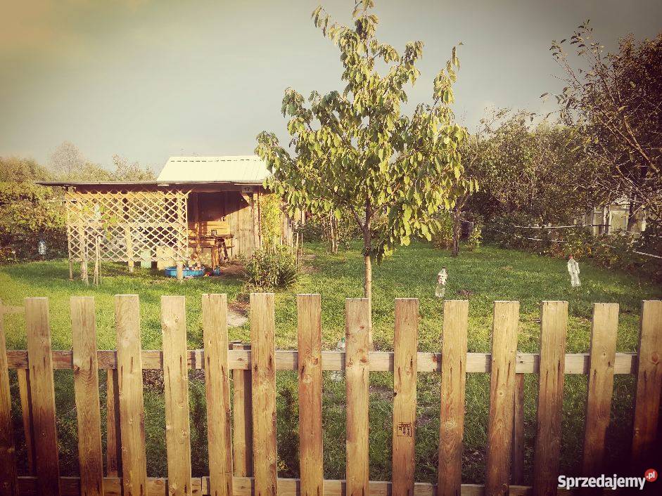 Działka na ogródkach ROD Kalina Lublin