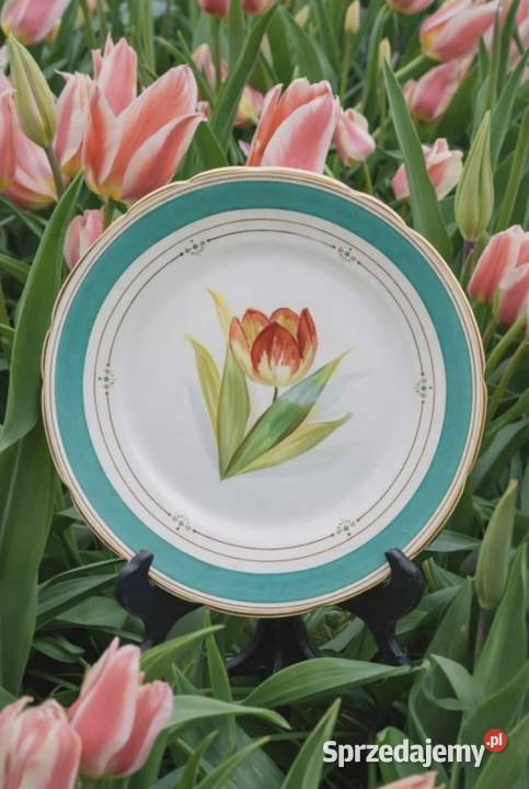 Śliczny talerz z bordiurą w kolorze Tiffany Blue Pabianice