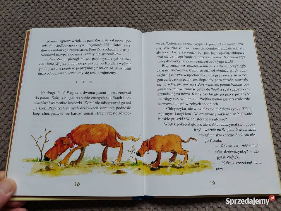 Kaktus szukaj Barbara Gawryluk ISBN 9788376721330 Kraków sprzedam