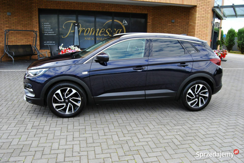 Opel Grandland X UMBRELLA FULL Grzana SKÓRA i lubelskie Modliborzyce