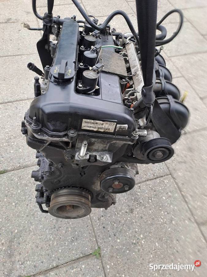 Ford Fokus 18 16V 125 silnik kompletny kod Q7DA osobowe Części samochodowe Jastrzębie-Zdrój