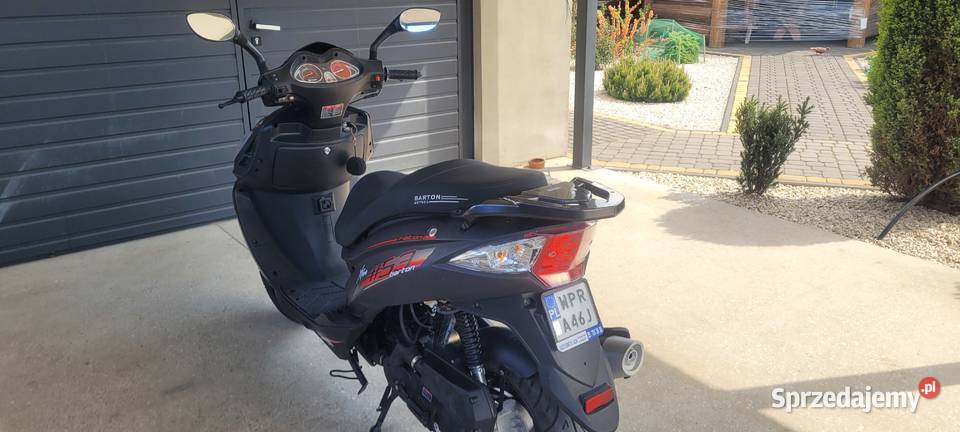 BARTON FALCON XXL Wolica