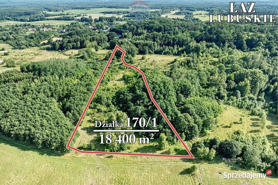 Działka rolna o powierzchni 184 ha polna Sprzedaż
