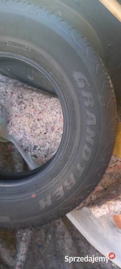 1958015 5 wielosezon Bydgoszcz