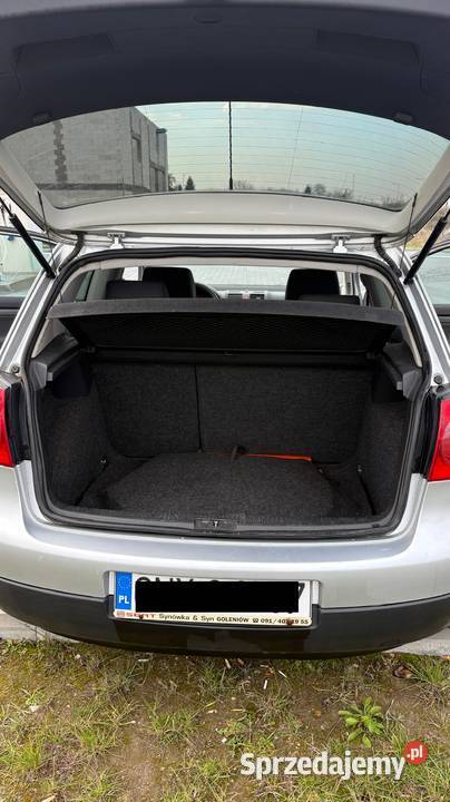 Volkswagen Golf V 19 TDI 2006 r 105 1896cm3 sprzedam