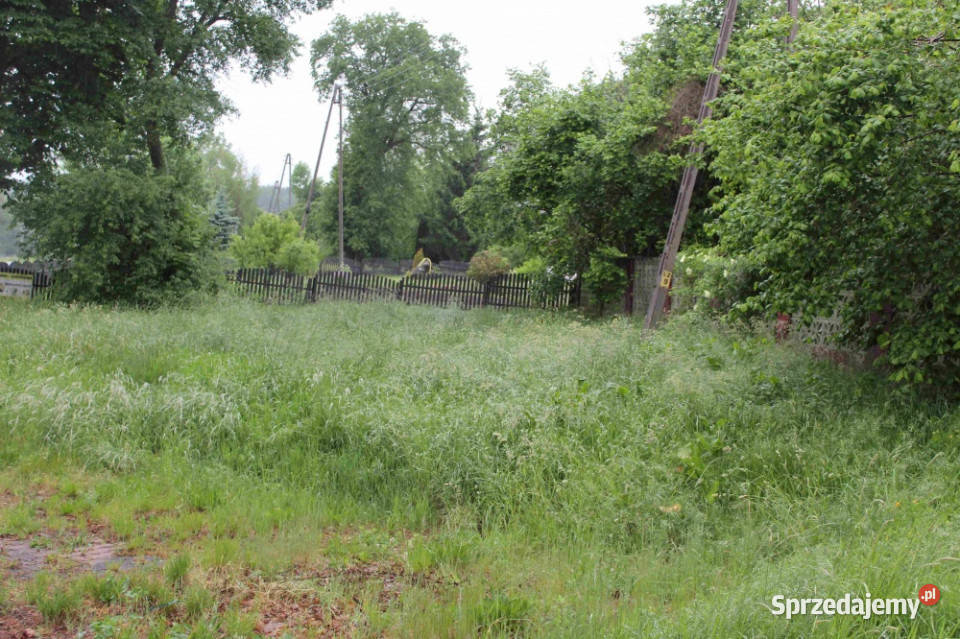 Sprzedam działkę budowlaną z dojazdem asfaltowym asfalt Żeliszów
