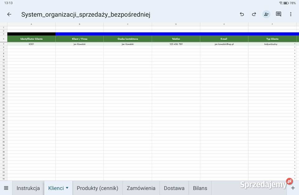Sprzedaż bezpośrednia system Excel Racławice sprzedam
