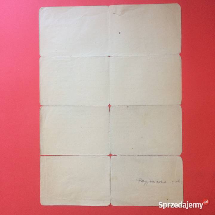 1743 Świadectwo Tymczasowe Tchórzewski zachodniopomorskie Szczecin